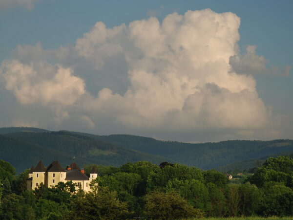 Zamek w Grodźcu