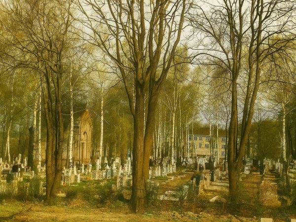 Kozy w kolorze – cmentarz parafialny