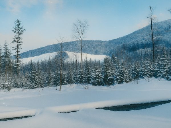 Kozy w kolorze – hałda kamieniołomu zimą