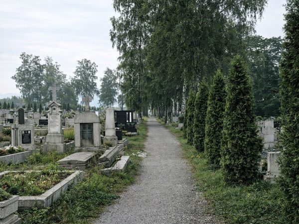 Kozy w kolorze – alejka cmentarna